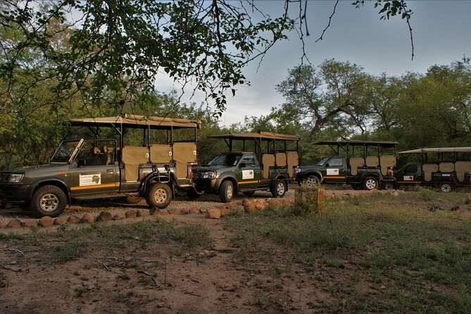 Full Day Gamedrives in Kruger National Park From Marlothpark - Overview of the Full-day Game Drive