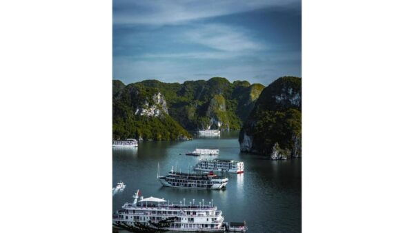 FullDay In Ha Long Bay, Luon Cave And Titop Island - Inclusions of the Tour