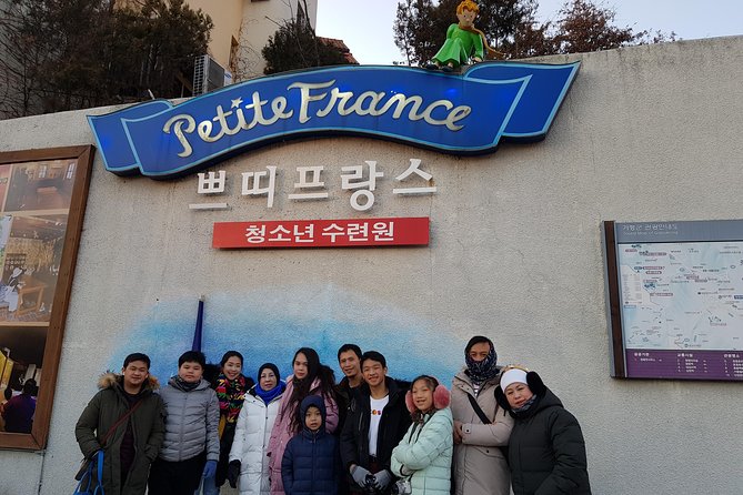 Full Day Nami Island & Petit France From Seoul - Reviews and Ratings for the Experience