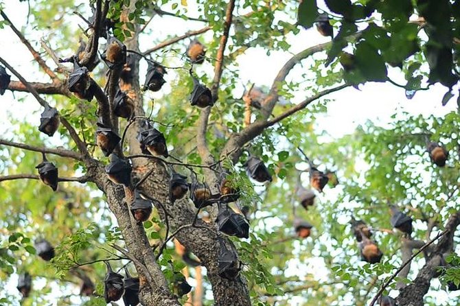 FullDAY Private Tourtwo Surprise Discovery Tours in ONE DAY From Bangkok - Pickup Details