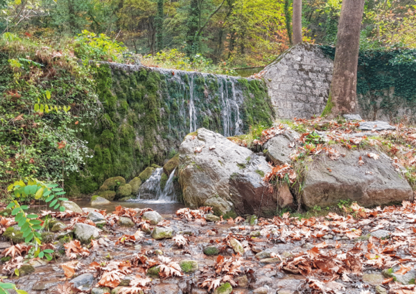 Full Day Private Trip to Edessa Waterfalls & Pozar Hotsprings - Booking and Cancellation Policy