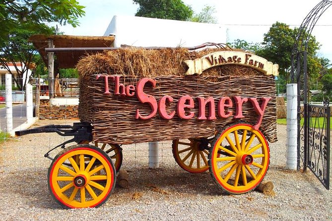 Full Day Privatetour Refreshing,Healing,Amazing Scape to Ratchaburi From Bangkok - Lunch Details