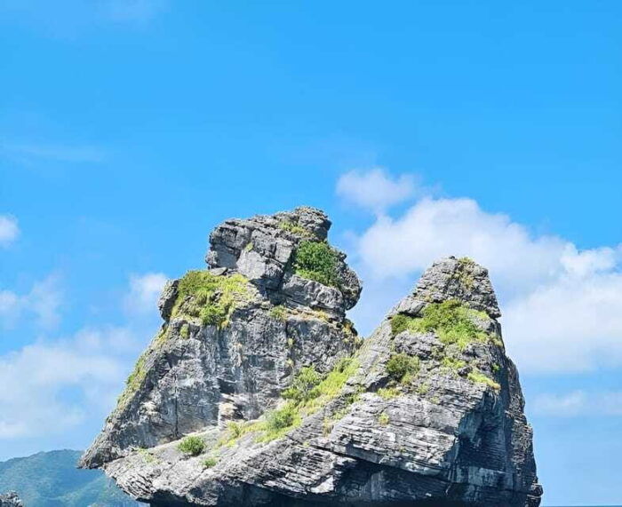 Full Day Sailing Boat Tour to Angthong Marine Park - Inclusions and Pricing