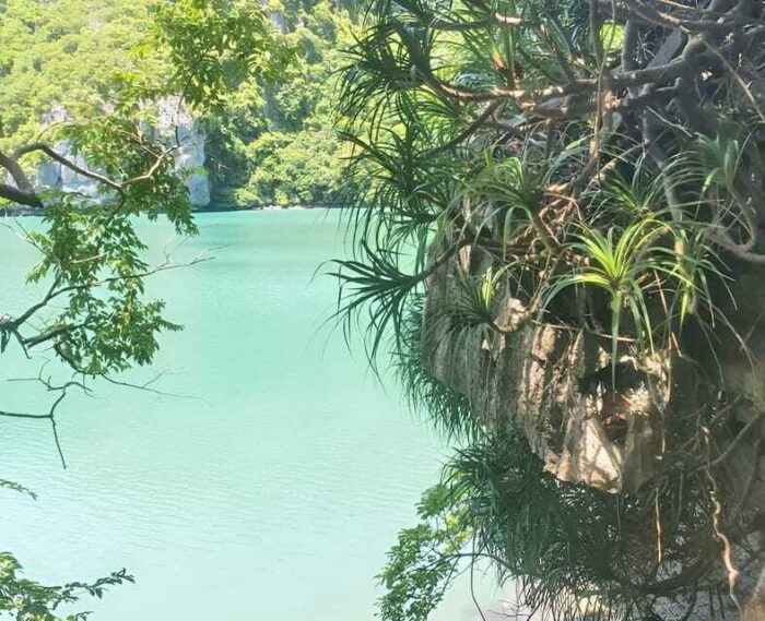 Full Day Sailing Boat Tour to Angthong Marine Park - Frequently Asked Questions