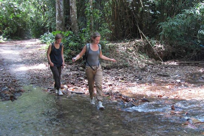 Full Day Tour of Pa-La-U Waterfall From Hua Hin Including Lunch - Tour Highlights