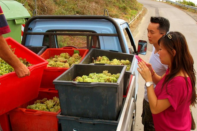 Fully-Day Private Tour to Cinque Terre From Florence - Personalized and Highly Recommended Tour Experience