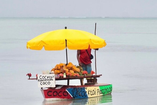 Fully Day Tour: Dolphin Encounters, Crystal Rock at Benitiers Island - Price and Booking