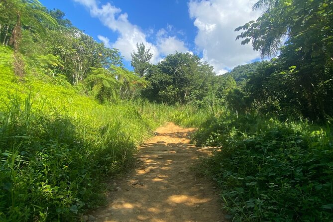 Fully Guided El Yunque Rainforest Tour - Tour Details