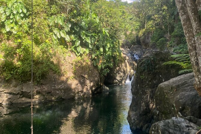 Fully Guided El Yunque Rainforest Tour - Requirements and Recommendations