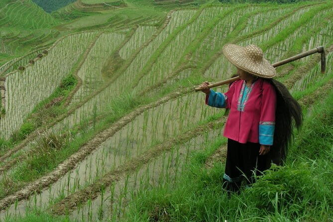 Fully-Guided Private Day Tour of Longji Terraces From Guilin - Summary
