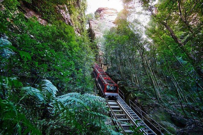 Fully Inclusive Blue Mountains Private Tour Inc Scenic World & Featherdale Entry - Testimonials