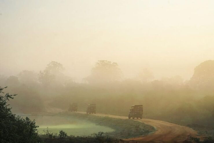 Fully-Loaded Sri Lanka | FREE Trip to Sigiriya and Dambulla - Good To Know