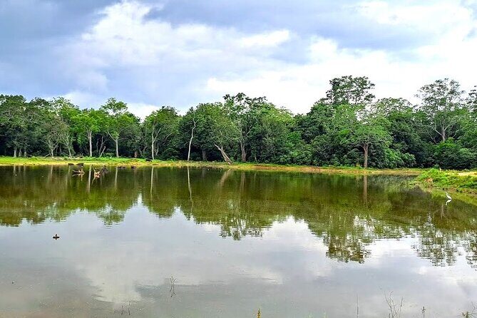 Fully Private Udawalawe National Park Safari Tour - The Authenticity and Value of the Tour