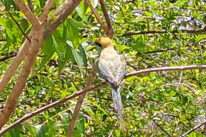 Fully Private Udawalawe National Park Safari Tour - Who Will Love This Tour?