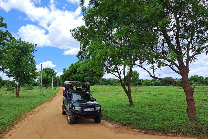 Fully Private Udawalawe National Park Safari Tour - FAQs