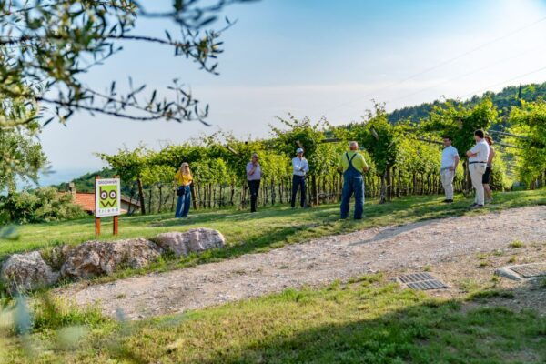 Fumane: Guided Food and Wine Tasting With Vineyard Tour - Additional Services