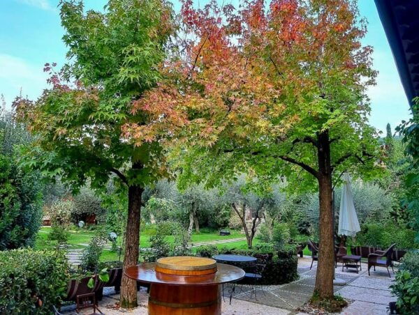 Fumane: Tasting of 5 Valpolicella and Amarone Vintage Wines - Getting to the Venue