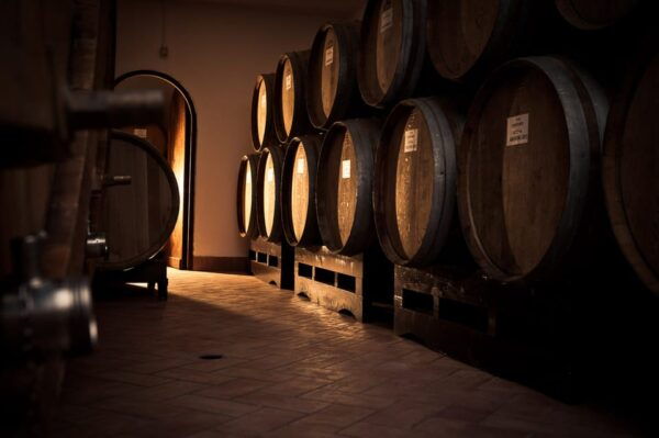 Fumane: Valpolicella Wine Tasting Tour in a Medieval Court - Additional Tour Offerings and Information