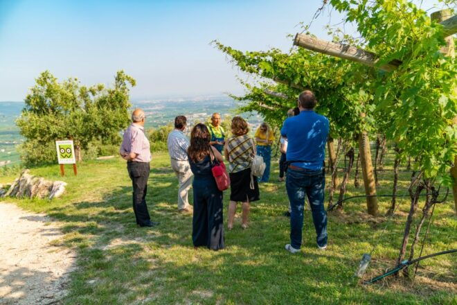 Fumane: Wine Tasting Experience in Valpolicella Valley - Restrictions