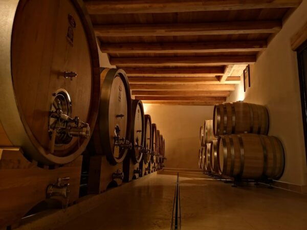 Fumane: Wine Tasting Experience in Valpolicella Valley - Customer Reviews