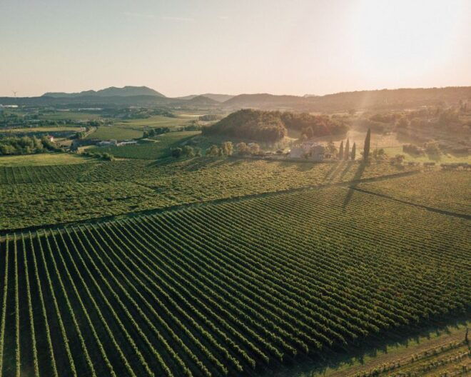Fumane: Wine Tasting in a Family-Run Winery in Valpolicella - Inclusions