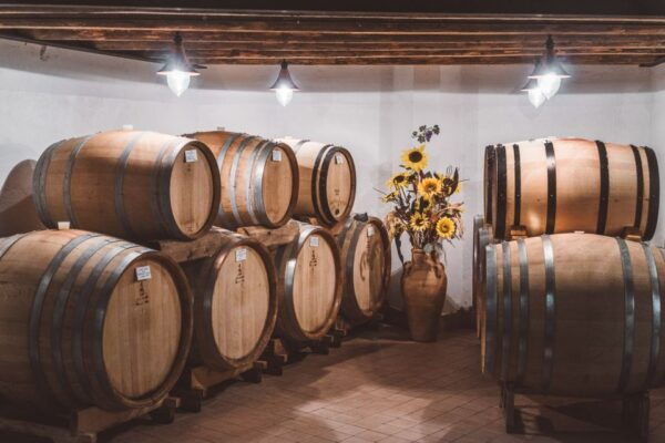 Fumane: Wine Tasting in a Family-Run Winery in Valpolicella - The Sum Up