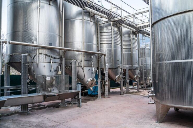 Fumane: Wine Tasting in a Family-Run Winery in Valpolicella - Duration and Timing