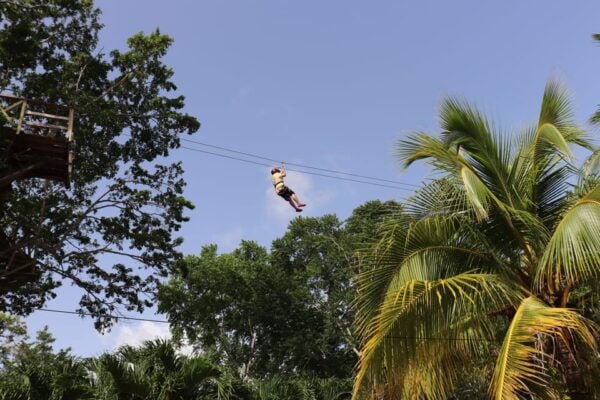 Fun & Adrenalin Jungle Experience: Atv, Zipline & Cenote - Explore the Tropical Landscapes