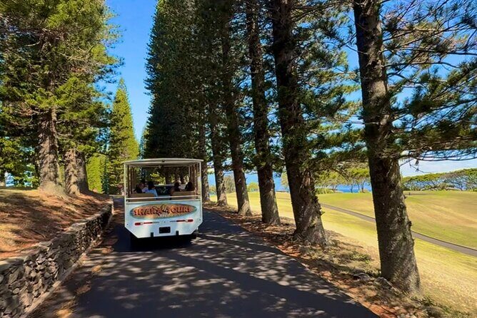 Fun & Affordable! West Maui Open-Air Sightseeing Tour! - FAQ