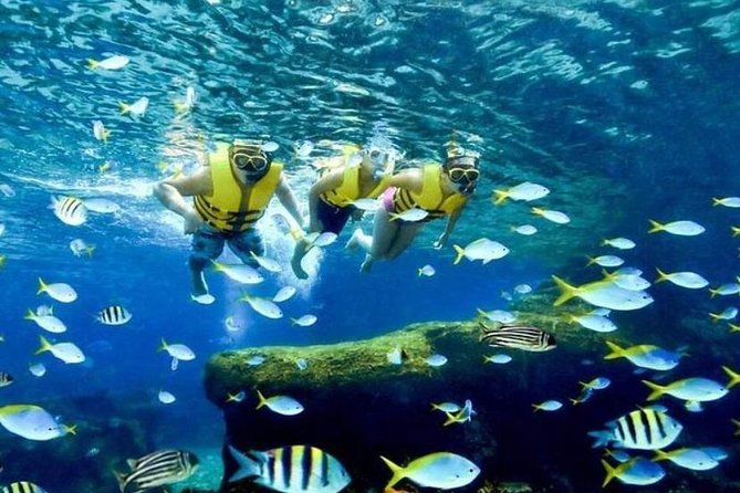 Fun and Adventurous Experience at Cove Water Park - Family-Friendly Activities