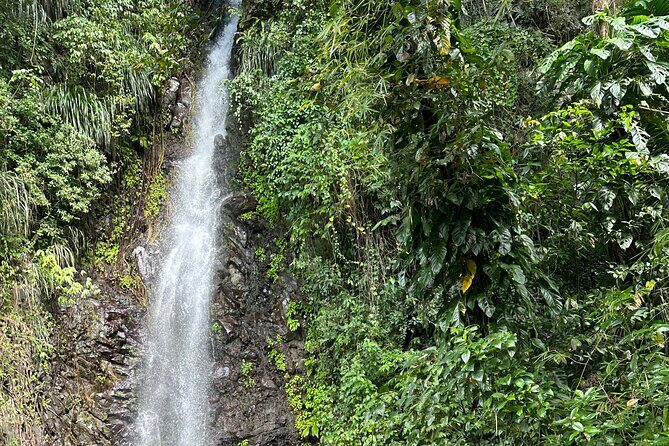 Fun and Exhilarating Experience at Dark View Falls - Good To Know