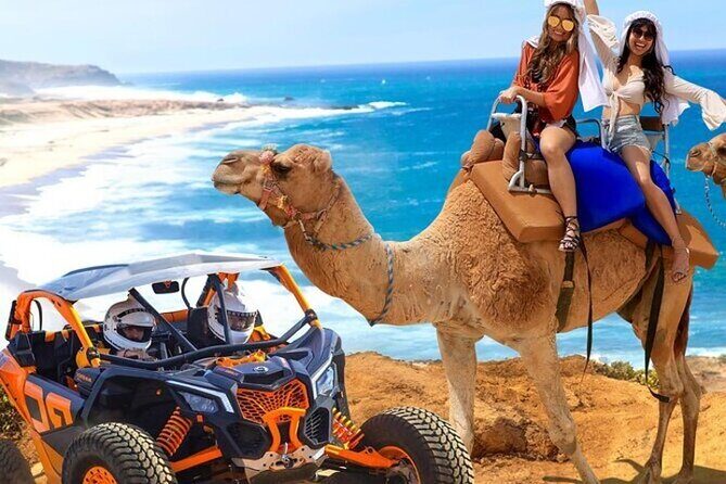 Fun Camel Ride and UTV COMBO with Tequila Tasting! - Good To Know