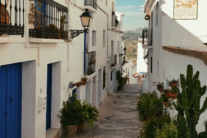 Fun Day Trip to White Villages From Seville - Itinerary Overview