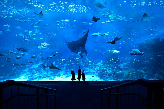 Fun Discovery Pass - Attractions and Activities