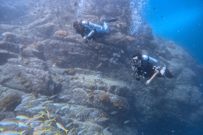 Fun Dive (1 Tank) in Cabo San Lucas - Dive Confirmation and Accessibility