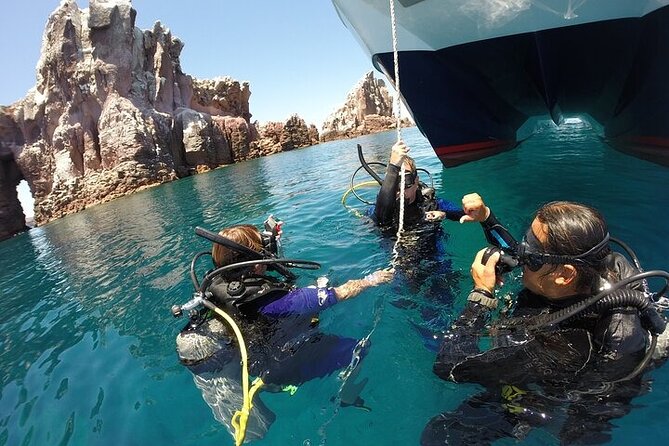 Fun Dive (1 Tank) in Cabo San Lucas - Traveler Requirements and Group Size