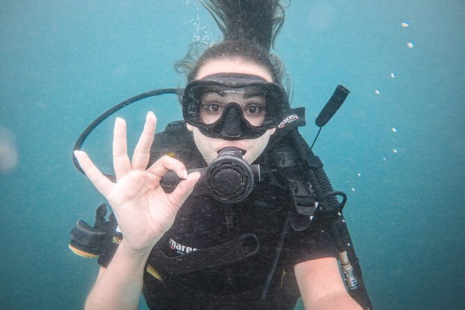 Fun Dives For Certified Divers - Equipment and Gear