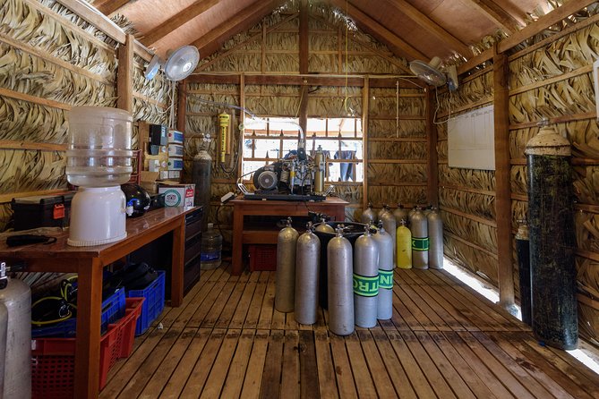 Fun Dives For Certified Divers - Price and Guarantee Information