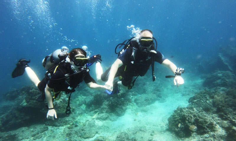 Fun Diving by Bali Diving (For Certified Diver) - What to know before you book