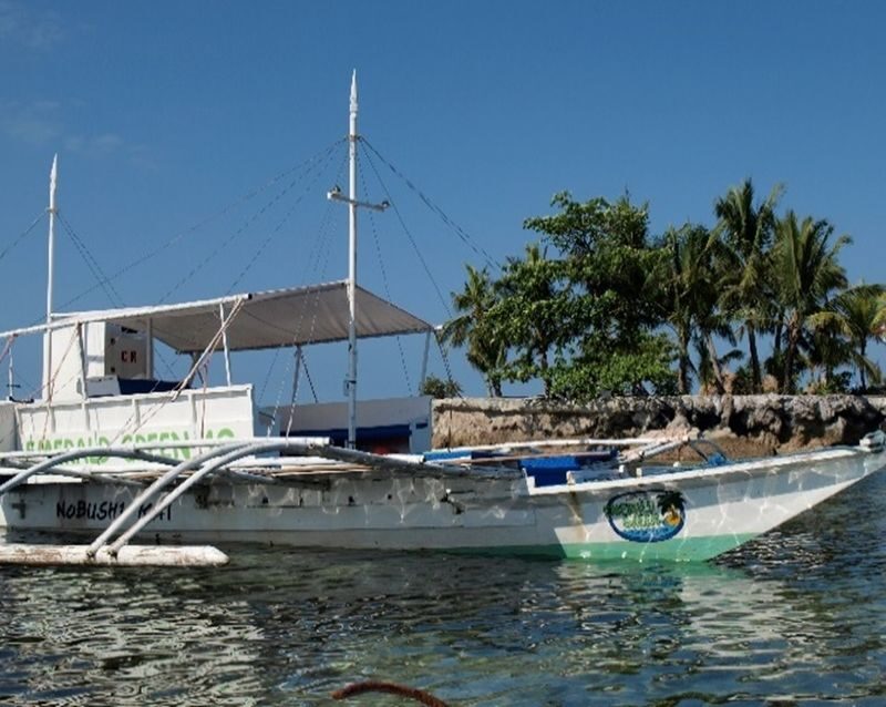 Fun Diving in Mactan or Hilutungan Island - Choosing Between Mactan and Hilutungan