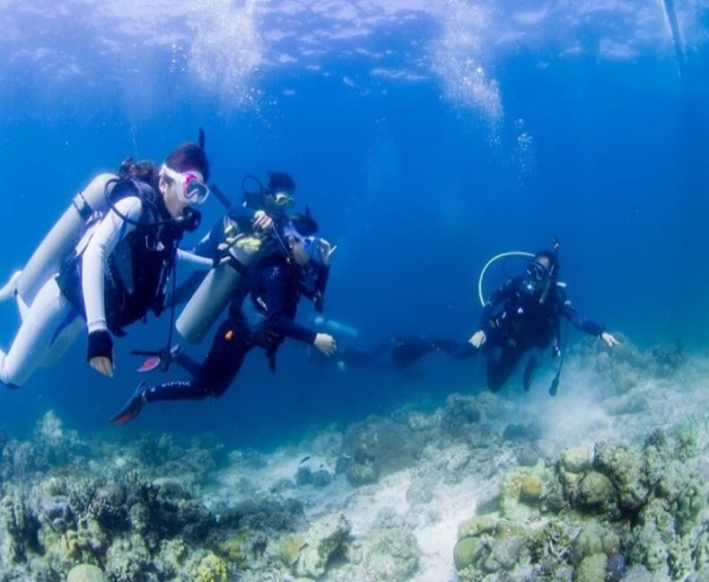 Fun Diving in Mactan or Hilutungan Island - What the Two-Boat Format Means