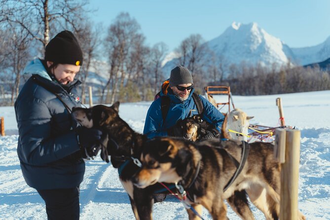 Fun & Easy Dog Sledding Adventure - Early Bird - Additional Information and Cancellation Policy