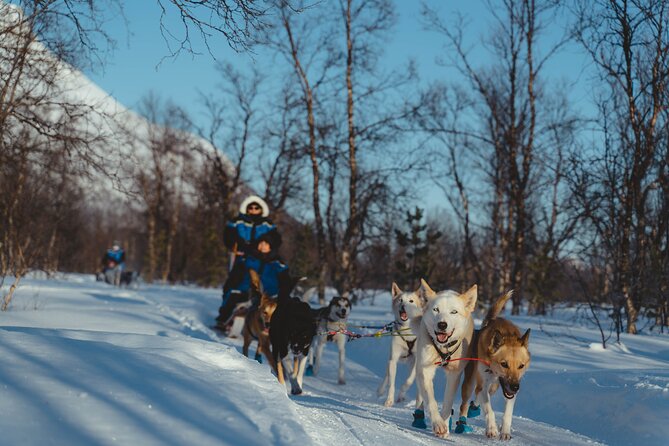 Fun & Easy Dog Sledding Adventure - Early Bird - Directions