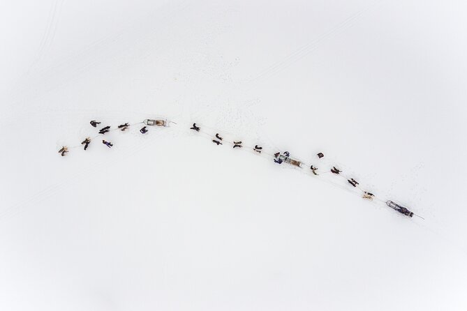 Fun & Easy Dog Sledding Adventure - Early Bird - Benefits of Early Bird Booking