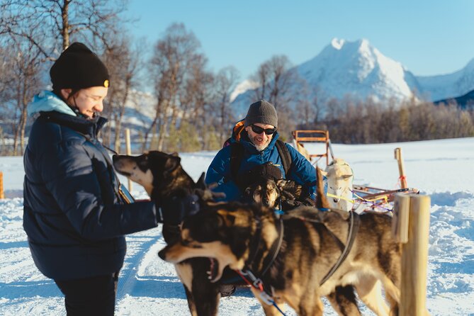 Fun & Easy Dog Sledding Adventure - Noon Tour - Common Questions