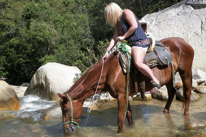 Fun Horseback Tour in Mismaloya - Tour Details