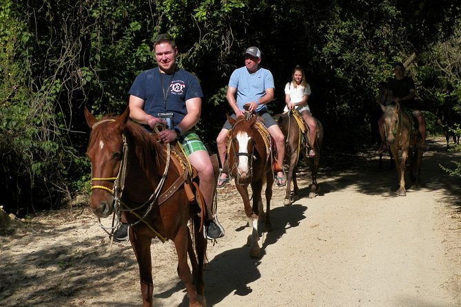 Fun Horseback Tour in Mismaloya - Meeting and Pickup