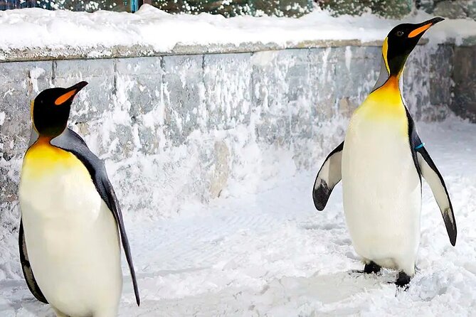 Fun in the Snow - Ski Dubai Tickets - The Sum Up