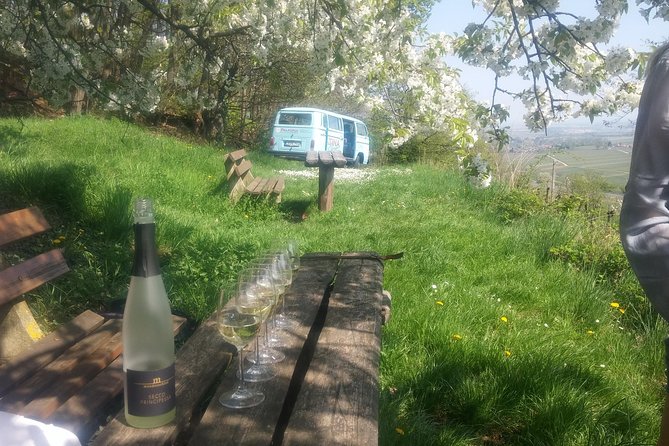 Fun in the Vintage Bus - From 5 People - Vintage Bus Route and Itinerary