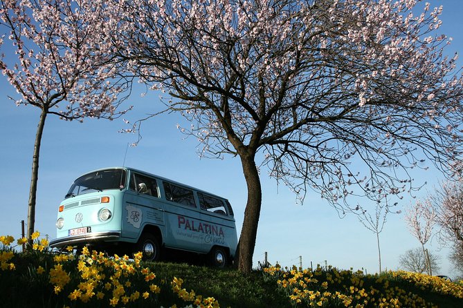 Fun in the Vintage Bus - From 5 People - Vintage Bus Booking and Confirmation Process